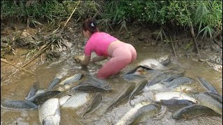 Fishing Video: Unique Fishing, Survival Fishing, Fishing Techniques, Harvesting Big Fish