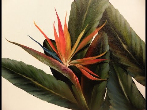 The Beauty of Oil Painting, behind the scenes, Episode 8 " Tropical Paradise "