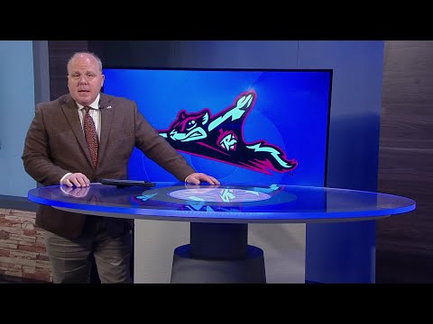 Flying Squirrels fall 19-0 to Harrisburg Senators