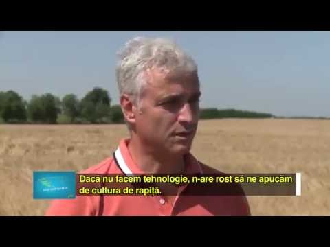 Testimonial rapita DEKALB - Laurentiu Maciuca, Constanta