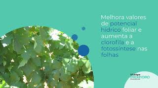 LalVigne PROHYDRO - Reduza os danos causados pelo sol e pela desidratação nas vinhas