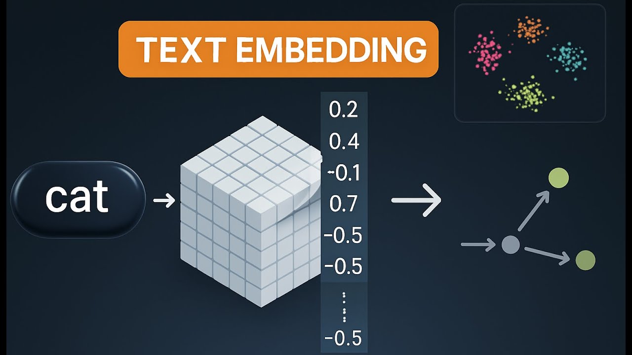 How AI Turns Words Into Vectors: Embeddings