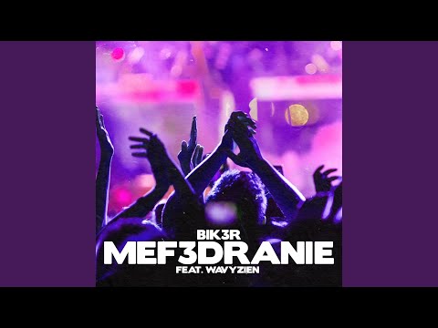MEFEDRANIE (feat. WAVYZIEN)