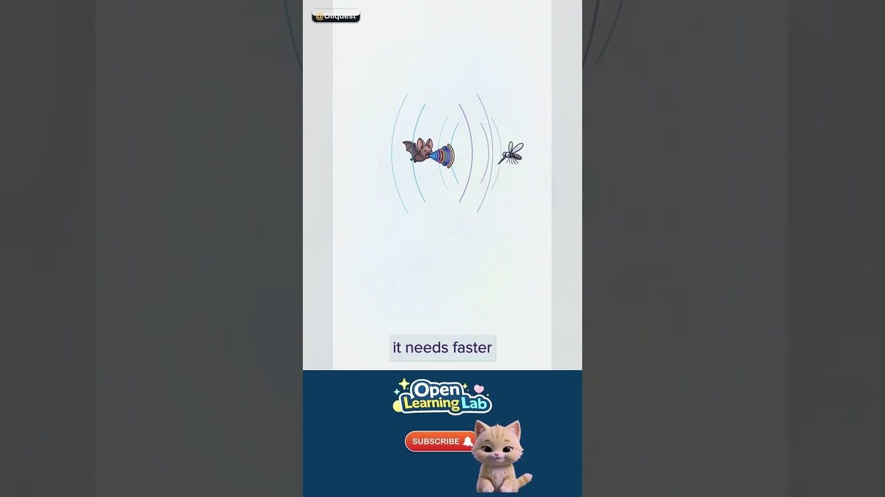 How Do Bats See in the Dark? — Spot it in real life 🚀 #Shorts