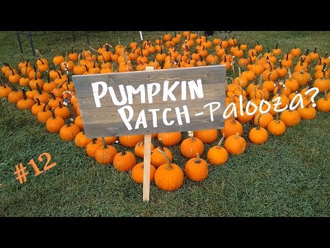 Vlogtober 12.10.2019 -  KürbisPalooza