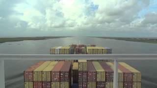 MSC MARA-Les Claypool&#39;s Frog Brigade-Shine on you crazy diamond