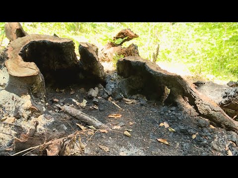 Budai Híradó 2023. június 14.