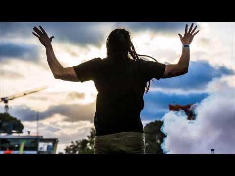 Steve Aoki vs Showtek - Back To Earth ft. Fall Out Boy/Raise Your Hands/Slow Down (Aoki Edit)