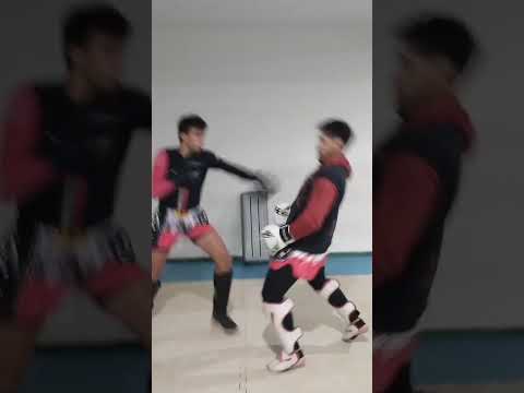 THERAPY IN PITBULL GYM JUNÍN DE LOS ANDES