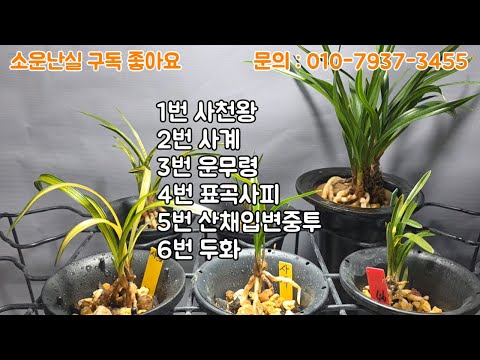 유튜브 썸네일