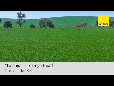 'Toringa' Toringa Road, Farrell Flat, SA 5416, 0 rūma, 0 rūma horoi, Lifestyle Property