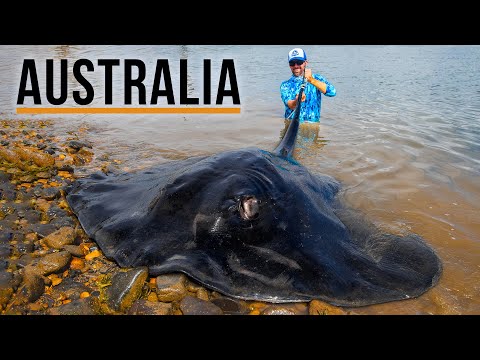 Giant Australian River Monster