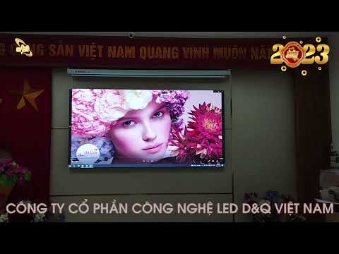 Video dự án