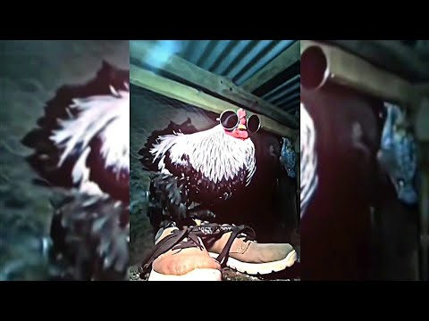 Shadow - Onimxru & Smithmane // Slowed + reverb [ 1 HOUR LOOP ]