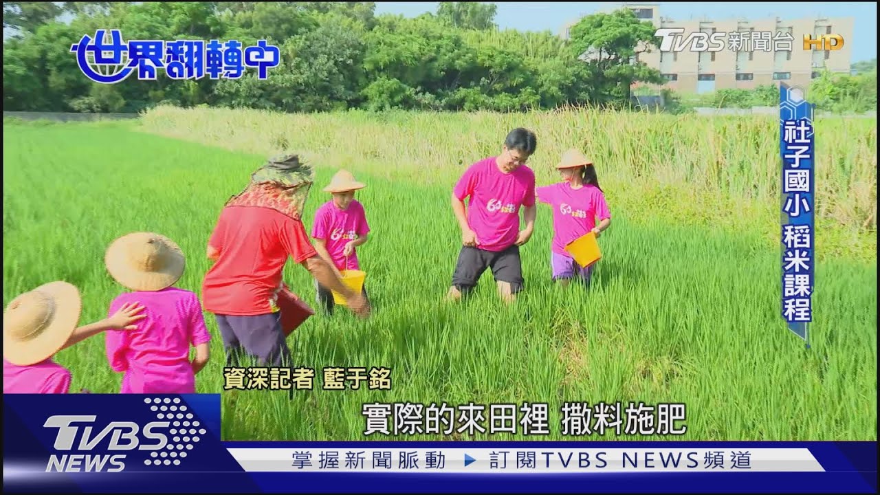 讓綠意遍布校園　國中小、北科大打造生態校園目標