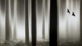 Stay with my heart  -  Sophie Zelmani