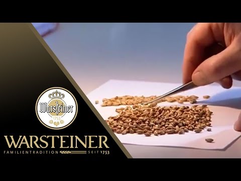 Rohstoffe höchster Qualität | WARSTEINER