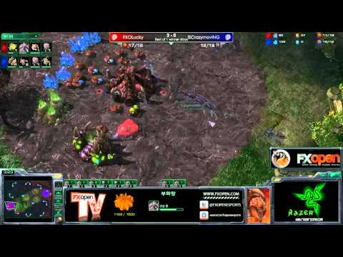 FXOpen Korean KOTH #15 Part 1