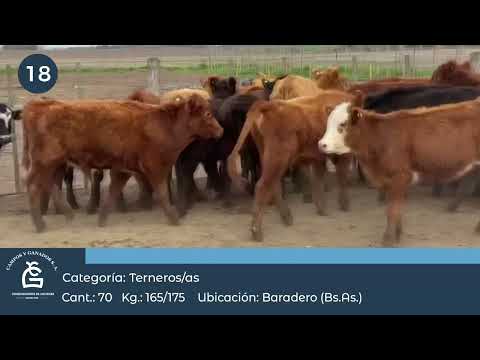Lote M Y H - Baradero  Bs As