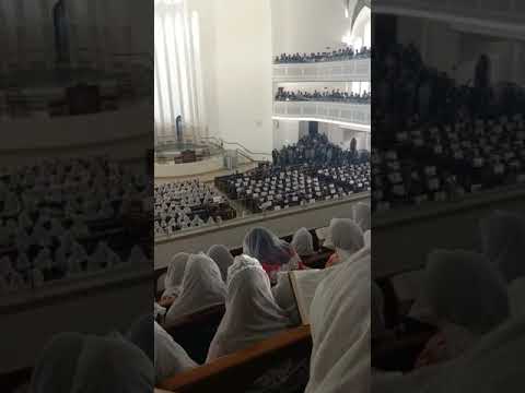 Hino 163 CCB  | Neste mundo de ilusão