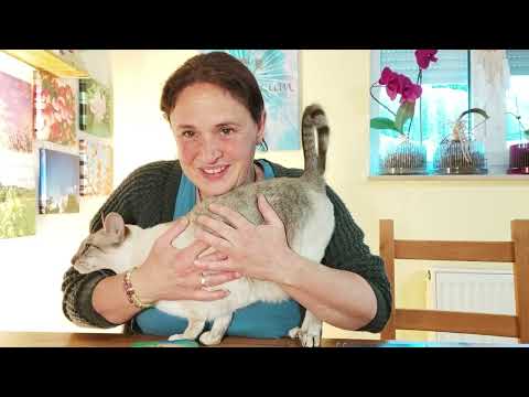 Weekly message 01.06. – 08.06. 🌟 A GREAT week is ahead – the TURNING POINT is here 🤩