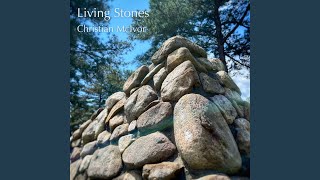 Seeing Through the Eyes of Jesus