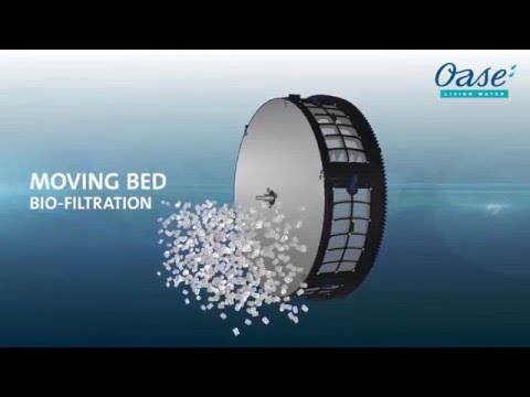 Watch Video on YouTube