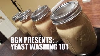 Yeast Harvesting and Washing 101 | Beer Geek Nation Homebrew Videos