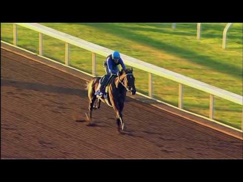 Camelot Kitten Headlines 2016 Belmont Derby