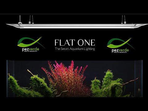 ONF Flat ONE – PezVerde