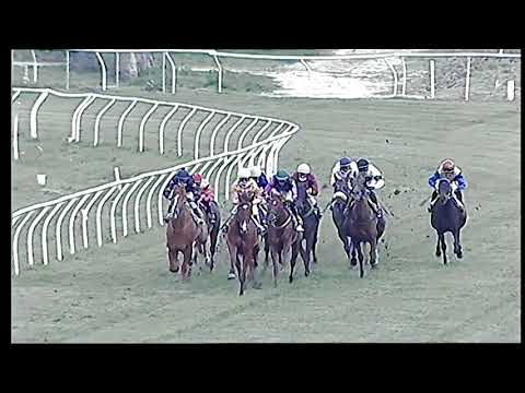 Galoppo 30/11/2020 - 6ª corsa