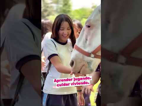 Turismo educativo en Bella Vista, Tucumán