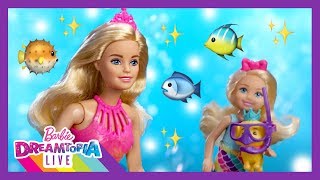 Rainbow Cove Part 1 | Dreamtopia LIVE | Barbie