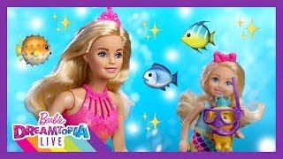Rainbow Cove Part 1 | Dreamtopia LIVE | Barbie