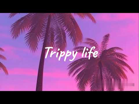 NVST @soldjvtseasonbae - Trippy life (Slowed-Reverb)