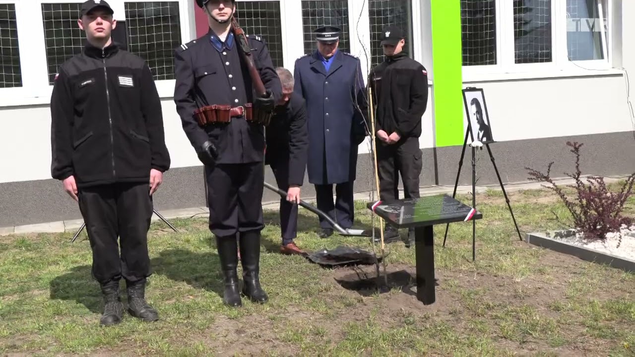 Dęby pamięci przed Powiatowym Zespołem Szkół w Warcie