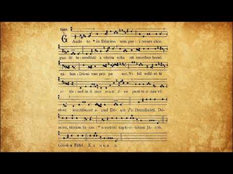 Introitus 𝇕 Gaudete in Domino