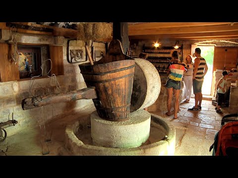 Museu do Azeite MUZEJ UJA Brač