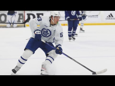 LEAFS LOCKER ROOM: Leafs hold Developmental Camp and introduce Marlies coach