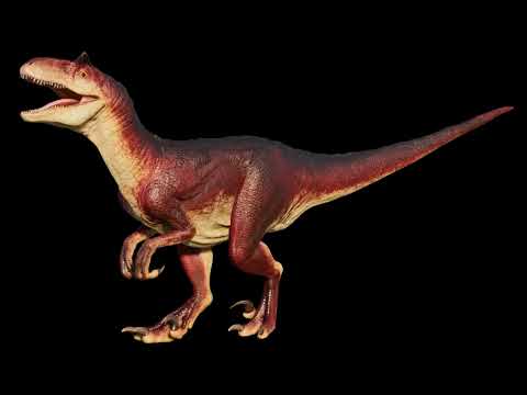 Carnoraptor (JW) Sound Effects