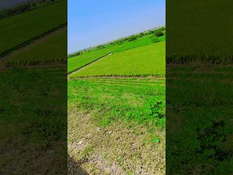 harvest caghfa cg608 harvester sabt parali keliy 💯 One nabr hai #33#3$