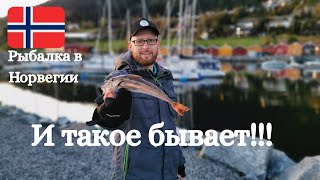 Рыбалка в норвежских фьордах с берега