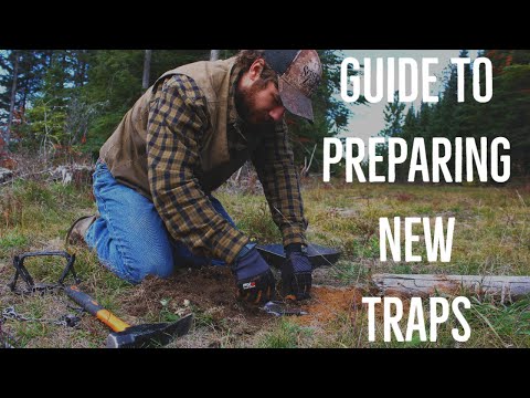 Preparing New Traps for the Trapline︱Step by Step Guide to Degreasing, Dyeing, and Waxing Traps