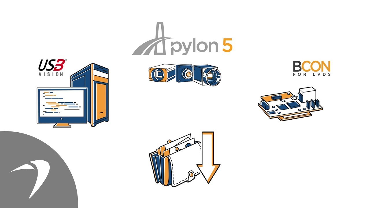 Software Development for Embedded Vision with Basler pylon 5