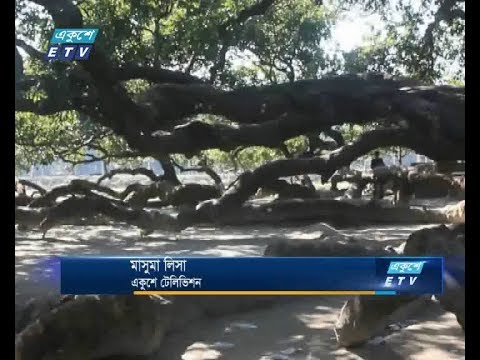 ঠাকুরগাঁওয়ে রয়েছে অসংখ্য দর্শনীয় স্থান