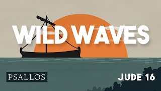 wild waves (16) Music Video
