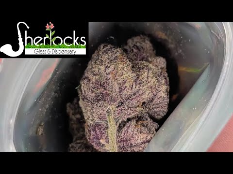 Garlic Cane Strain
