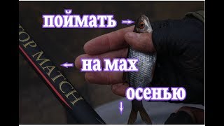 Ловля плотвы в конце ноября