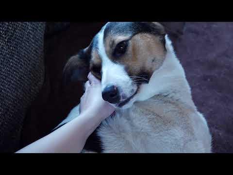 I AM SUNNY // In My Sofa I'm Safe (Relaxing Mode)