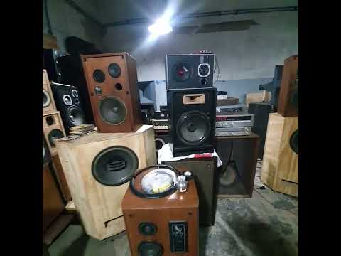 prueba y experimentos de componentes en "the guarida" con gus sabetto